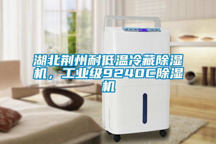 湖北荊州耐低溫冷藏除濕機(jī)，工業(yè)級(jí)9240C除濕機(jī)