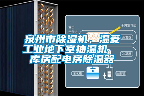 泉州市除濕機(jī)，濕菱工業(yè)地下室抽濕機(jī)  庫房配電房除濕器