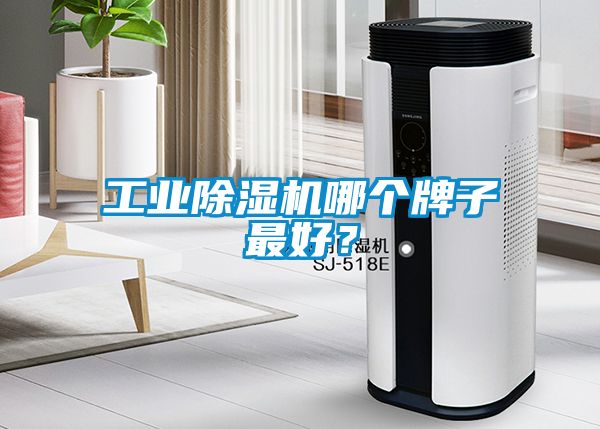 工業(yè)除濕機(jī)哪個牌子最好？