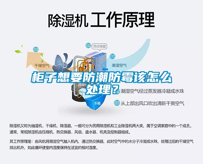 柜子想要防潮防霉該怎么處理？